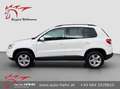 Volkswagen Tiguan 2,0 TSI 4Motion Track&Field  Xenon/Leder / Serv... Weiß - thumbnail 6