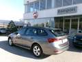 Skoda Octavia Octavia 1.6 TDI CR 115 CV DSG Wagon Executive Grau - thumbnail 5
