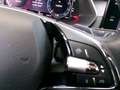 Skoda Octavia Octavia 1.6 TDI CR 115 CV DSG Wagon Executive Grau - thumbnail 13
