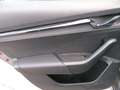 Skoda Octavia Octavia 1.6 TDI CR 115 CV DSG Wagon Executive Grau - thumbnail 27