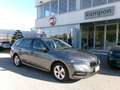 Skoda Octavia Octavia 1.6 TDI CR 115 CV DSG Wagon Executive Grau - thumbnail 6