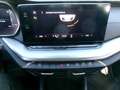 Skoda Octavia Octavia 1.6 TDI CR 115 CV DSG Wagon Executive Grau - thumbnail 19
