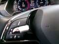 Skoda Octavia Octavia 1.6 TDI CR 115 CV DSG Wagon Executive Grau - thumbnail 12