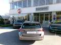 Skoda Octavia Octavia 1.6 TDI CR 115 CV DSG Wagon Executive Grau - thumbnail 4