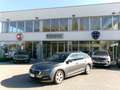 Skoda Octavia Octavia 1.6 TDI CR 115 CV DSG Wagon Executive Grau - thumbnail 1