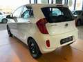 Kia Picanto Edition 7 / 1. Hand / Scheckheft / Klima Blanco - thumbnail 3