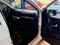 Kia Picanto Edition 7 / 1. Hand / Scheckheft / Klima Blanco - thumbnail 11