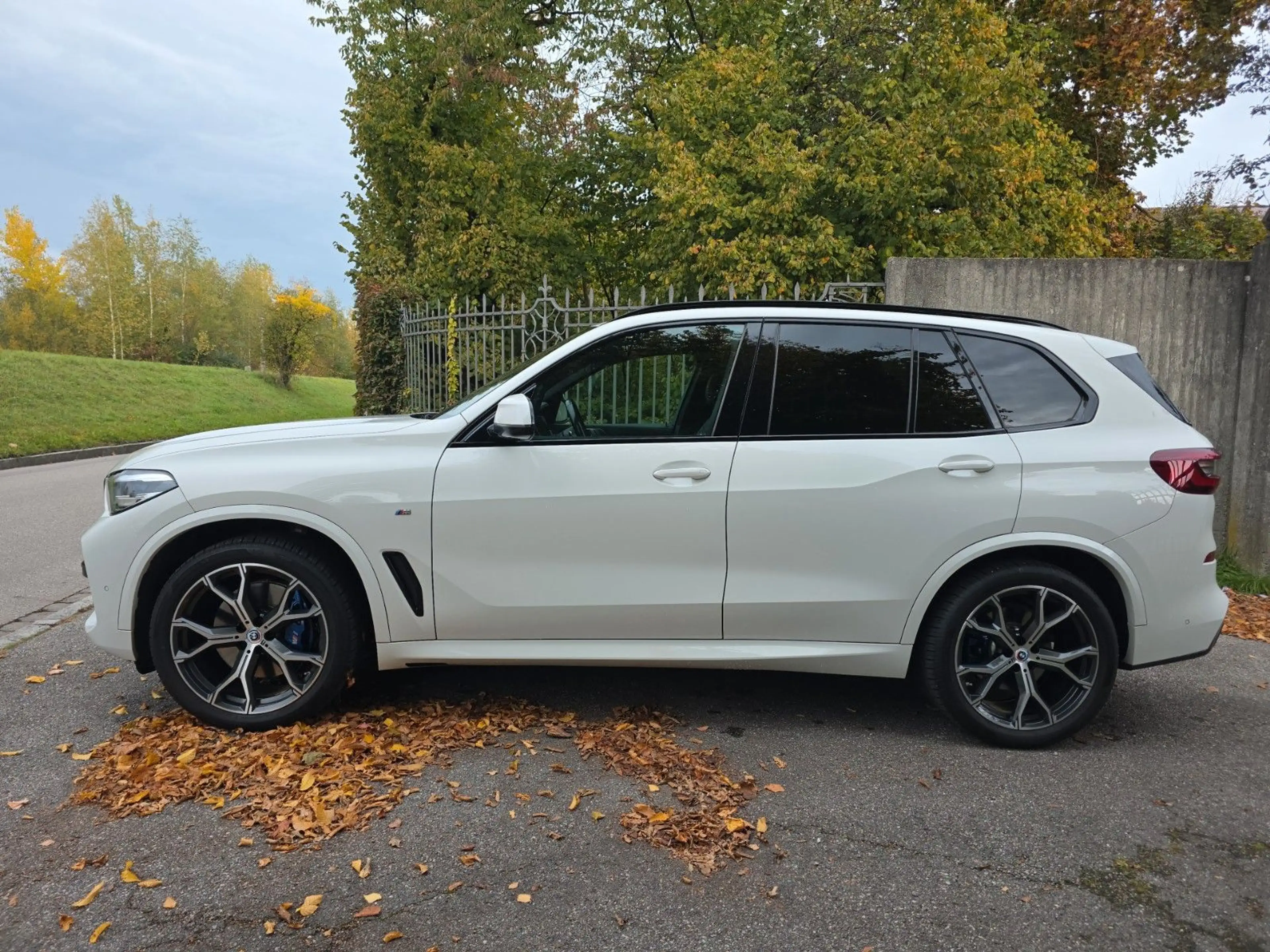 BMW X5 xDrive 30 d M Sport = Head-Up / Shadow-Line = — photo 4