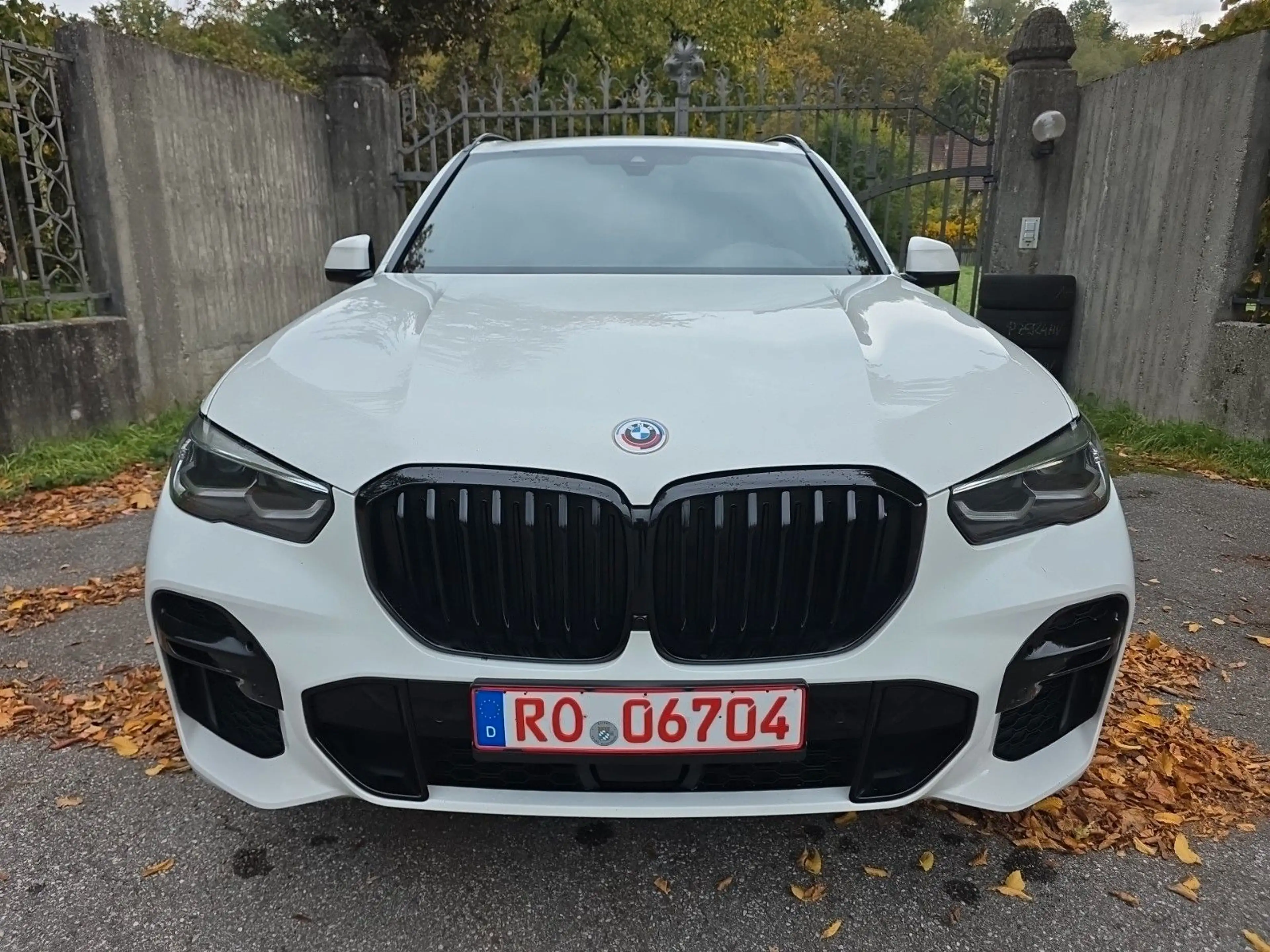 BMW X5 xDrive 30 d M Sport = Head-Up / Shadow-Line = — photo 2