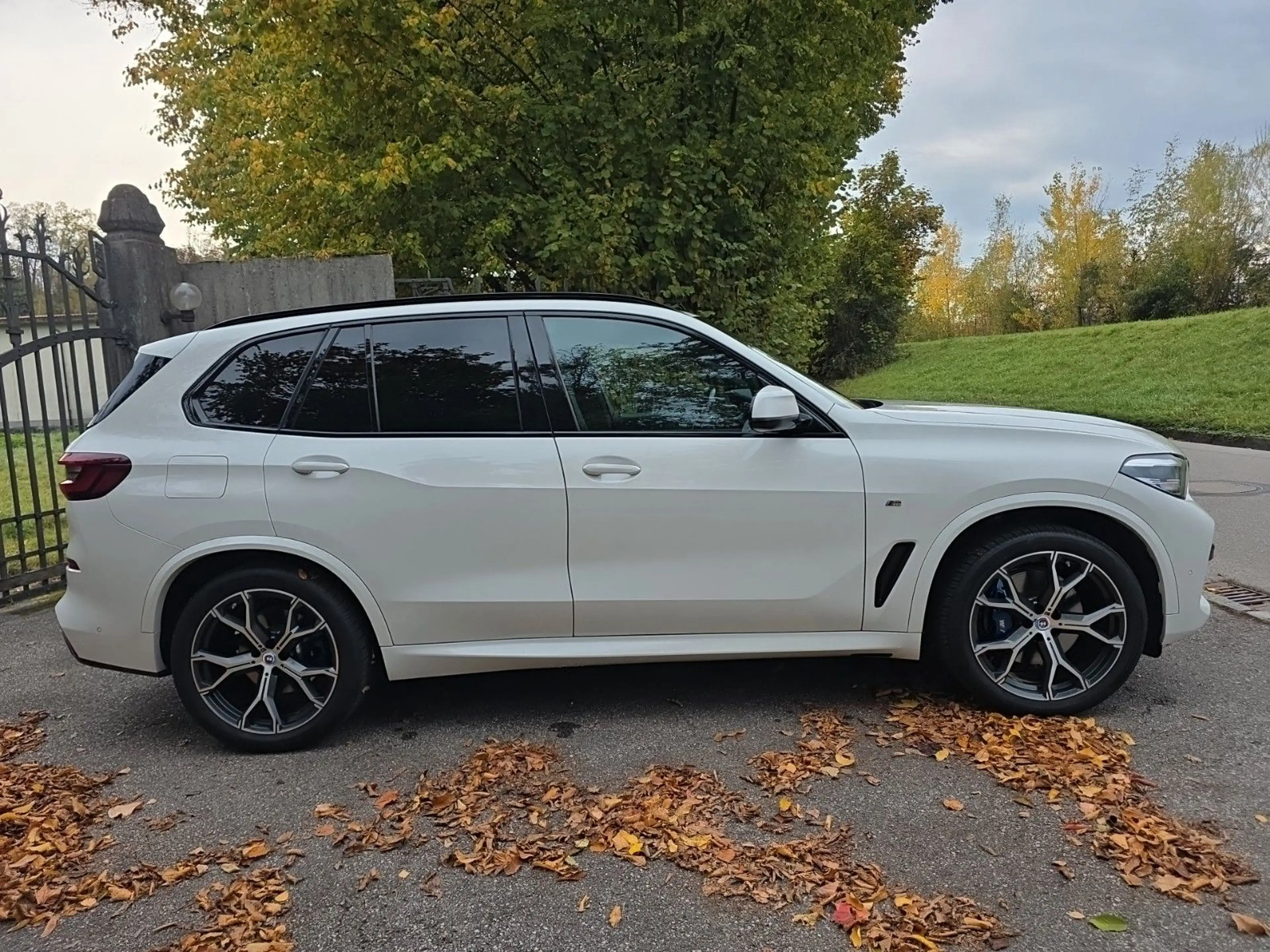 BMW X5 xDrive 30 d M Sport = Head-Up / Shadow-Line = — photo 5