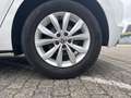 Volkswagen Polo Highline 1.0 TSI KAM Navi LED LM SHZ Klima Navi Weiß - thumbnail 4
