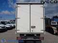 Iveco Daily 35C16 box con porte posteriori Bianco - thumbnail 5