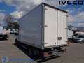 Iveco Daily 35C16 box con porte posteriori Bianco - thumbnail 6
