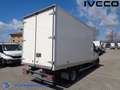 Iveco Daily 35C16 box con porte posteriori Bianco - thumbnail 4