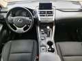 Lexus NX 300 NX Hybrid 4WD Executive - thumbnail 9