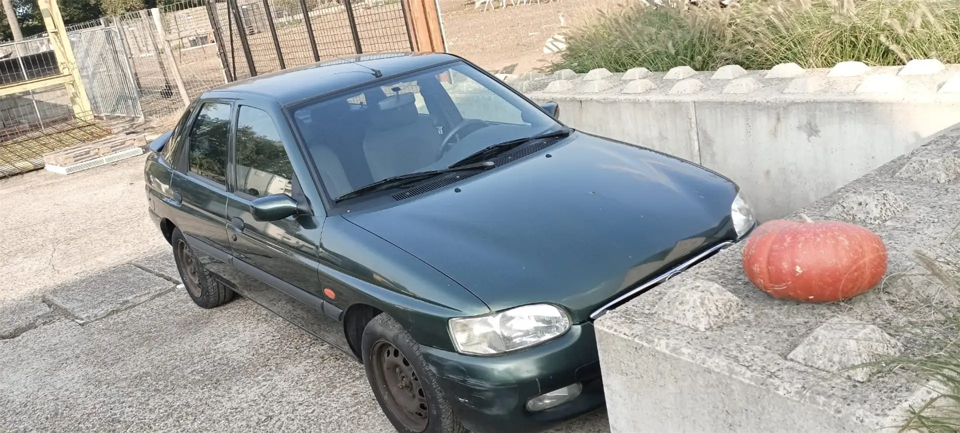 Ford Escort Escort Classic Grün - 2