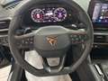 CUPRA Formentor 1.5 TSI DSG Grigio - thumbnail 13