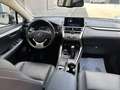 Lexus NX 300 300h Eco 2WD Gris - thumbnail 18
