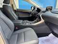 Lexus NX 300 300h Eco 2WD Gris - thumbnail 20