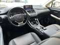 Lexus NX 300 300h Eco 2WD Gris - thumbnail 14