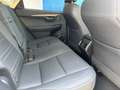 Lexus NX 300 300h Eco 2WD Gris - thumbnail 17