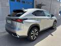 Lexus NX 300 300h Eco 2WD Gris - thumbnail 6