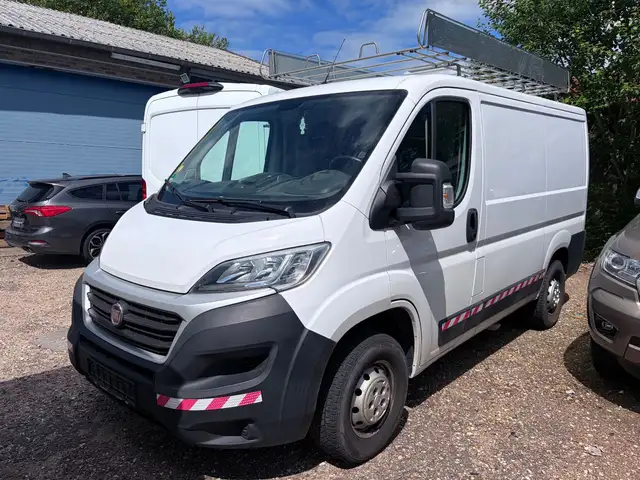 Fiat Ducato Kasten L1H1 Ladeflä.m.Werkzeugschrank