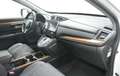 Honda CR-V 2.0 i-MMD Lifestyle 4x2 Blanco - thumbnail 40