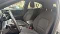 Ford Focus IV 1.5 EcoBlue 120 BVA8 ST-Line - thumbnail 25