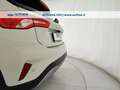 Ford Focus Active 1.0 ecoboost hybrid s&s 125cv my20.75 - thumbnail 9