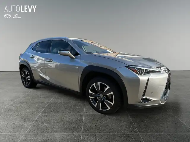 Lexus Ux view 8