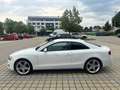 Audi A5 3.0Ltdi Weiß - thumbnail 1