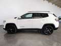 Jeep Compass 1.6 mjt Limited 2wd 120cv my19 White - thumbnail 9