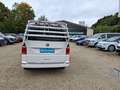 Volkswagen T6 Multivan DSG 4MOTION Generation Six Rückfahrk Weiß - thumbnail 5