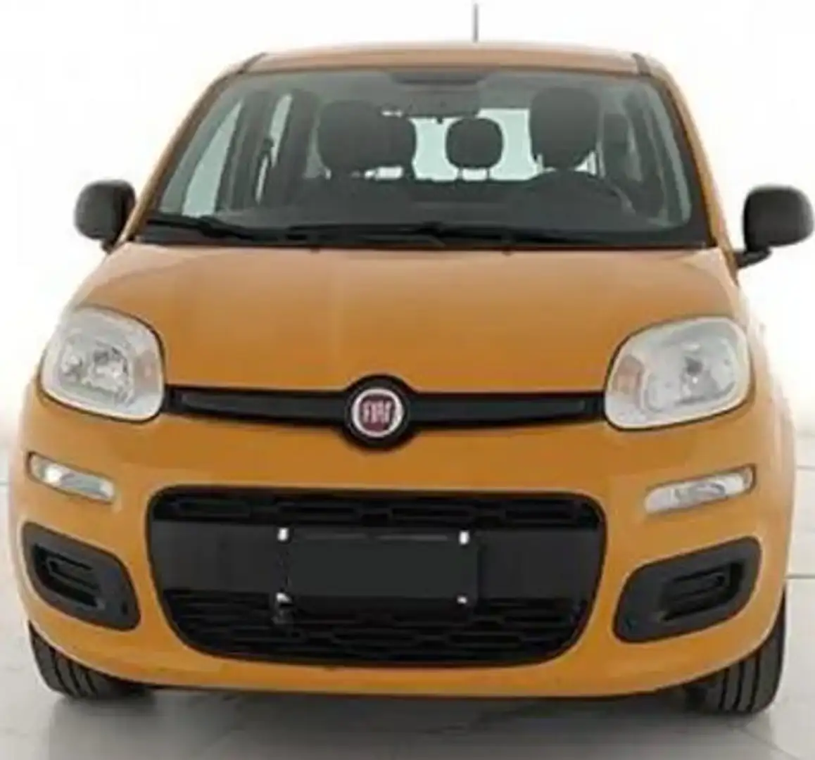 Fiat Panda Panda 1.2 benzina Easy 69 cv E6 Orange - 2