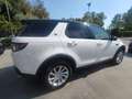 Land Rover Discovery Sport 2.0 td4 SE Business edition Premium awd 150cv auto Bianco - thumbnail 5