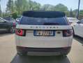 Land Rover Discovery Sport 2.0 td4 SE Business edition Premium awd 150cv auto Bianco - thumbnail 6