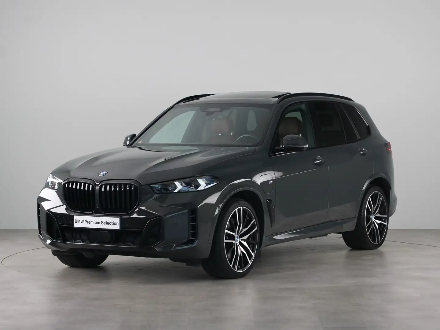 BMW X5 xDrive50e Launch Edition Gris - 1