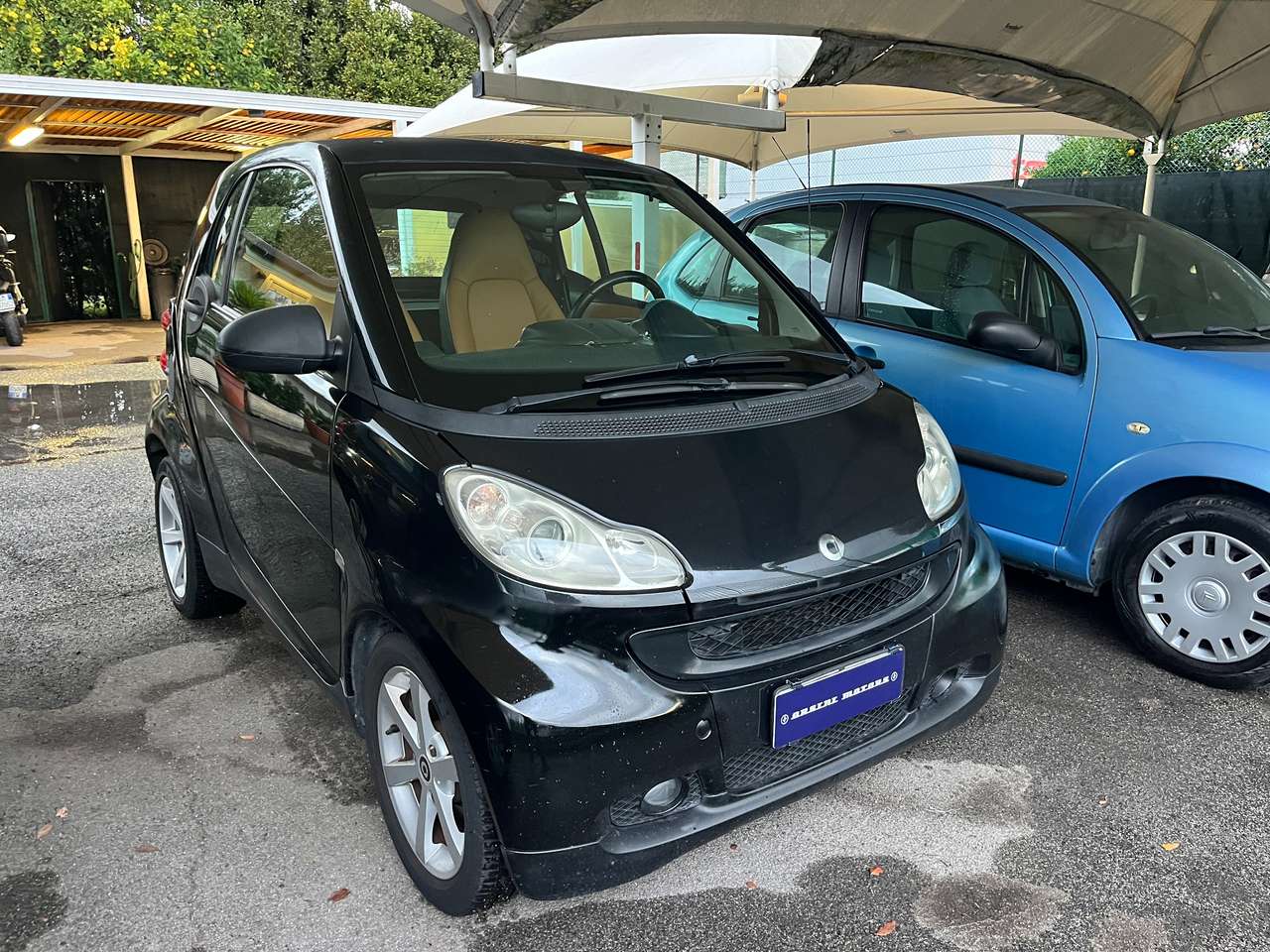 smart forTwo Fortwo 1.0 Pulse 84cv