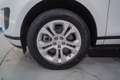 Land Rover Range Rover Evoque 2.0D MHEV S AWD Aut. 150 Blanco - thumbnail 10