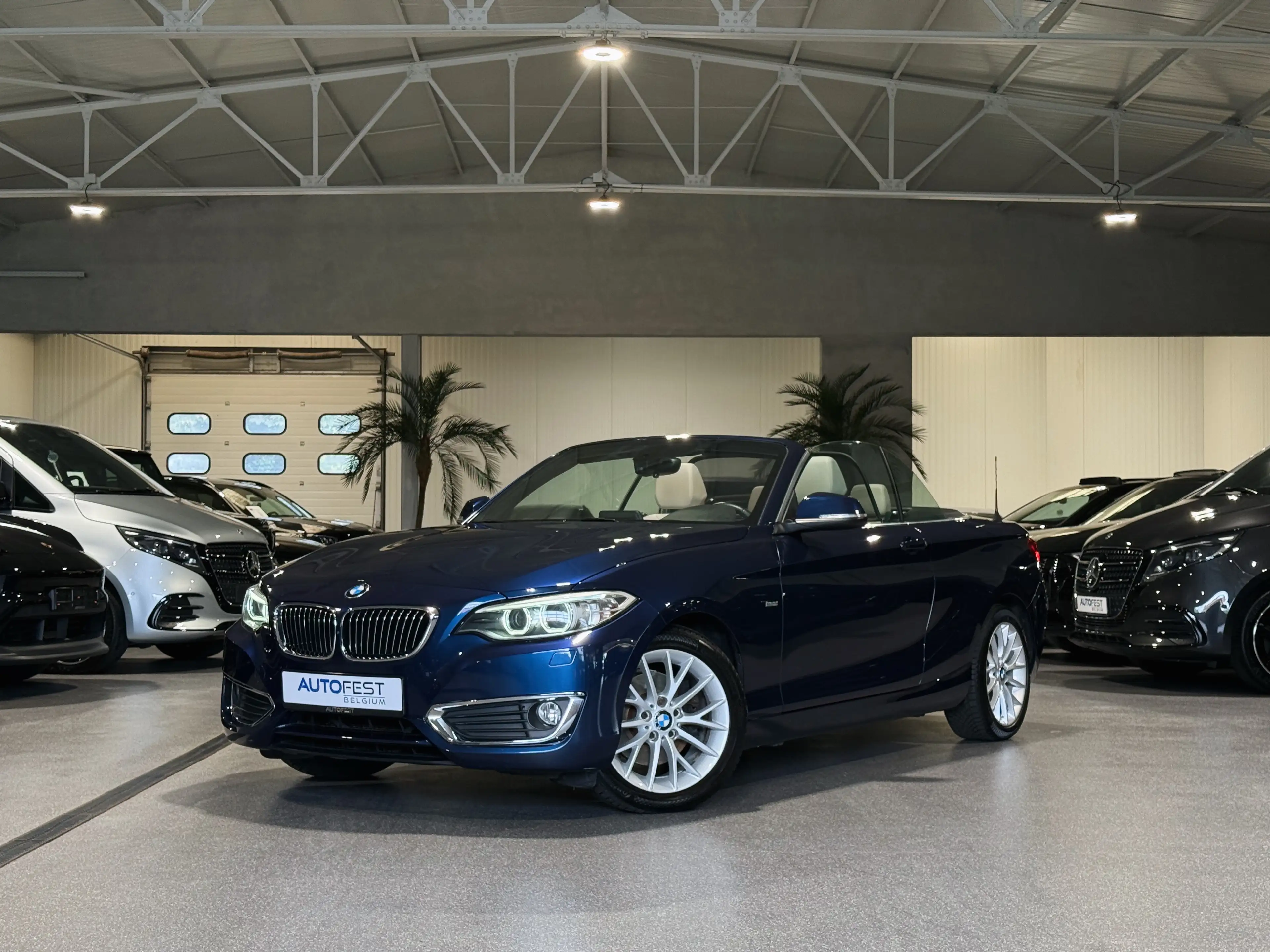 BMW 220 Cabriolet ‘Luxury Line’ - Garantie