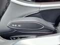 Voyah Free Flagship Edition 4WD 106 kWh | Black Line | Panora Bianco - thumbnail 15