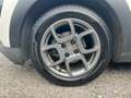 Citroen C4 Cactus PureTech 82 Shine Bianco - thumbnail 9