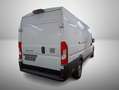 Fiat Ducato Maxi L4H2 Aut.*Cargo+*Visibility+*Worksit Weiß - thumbnail 3