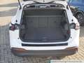 Volkswagen Tiguan 1.5 eTSI DSG Goal AHK ACC DigCockpit Navi Weiß - thumbnail 13