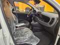 Fiat Panda 1.0 FireFly S&S Hybrid Pandina Blanc - thumbnail 12