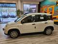 Fiat Panda 1.0 FireFly S&S Hybrid Pandina Blanc - thumbnail 2
