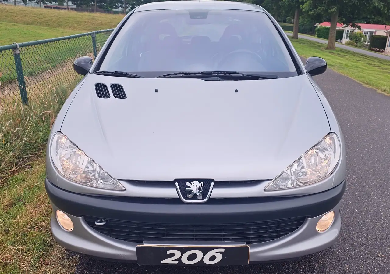 Peugeot 206 Collectors Item: Peugeot 206 GTi 2.0 16V – 105k km, foto 3