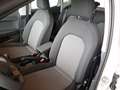 SEAT Ibiza Reference Edition 1.0 80PS Weiß - thumbnail 10