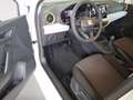 SEAT Ibiza Reference Edition 1.0 80PS Weiß - thumbnail 9